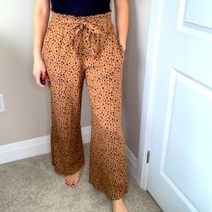 Size medium print dress pant with large bow